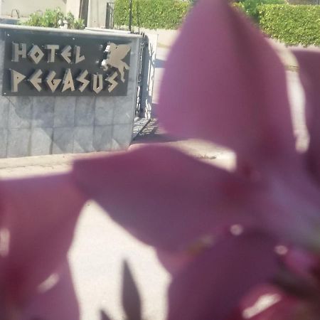 Pegasus Hotel Chaniotis Dış mekan fotoğraf