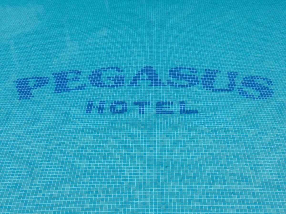 Pegasus Hotel Chaniotis Dış mekan fotoğraf