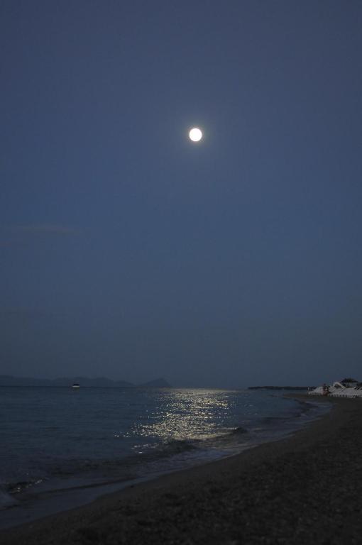 Pegasus Hotel Chaniotis Oda fotoğraf
